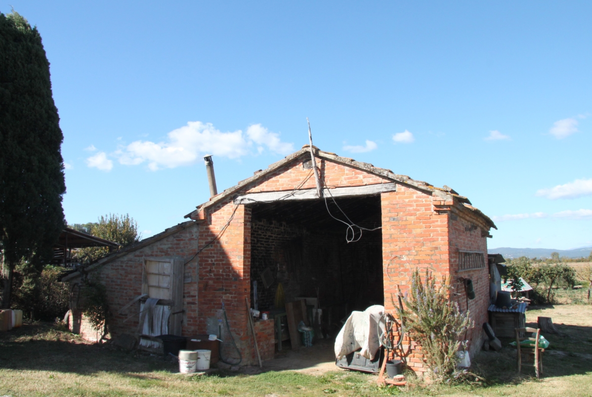 Casa indipendente Lucignano