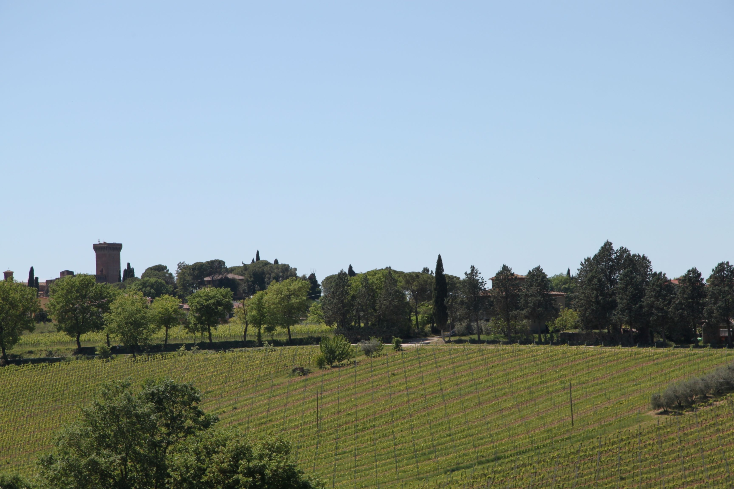 V284 – Marciano della Chiana